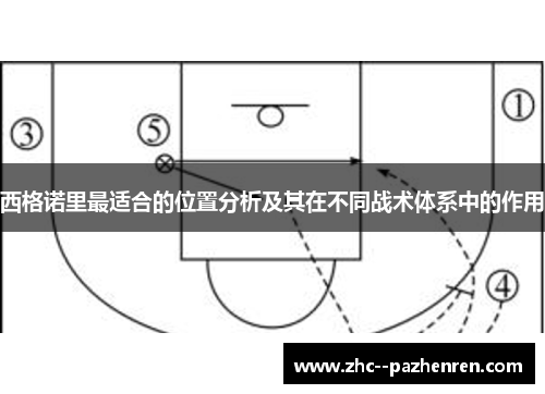 西格诺里最适合的位置分析及其在不同战术体系中的作用