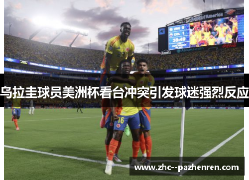 乌拉圭球员美洲杯看台冲突引发球迷强烈反应